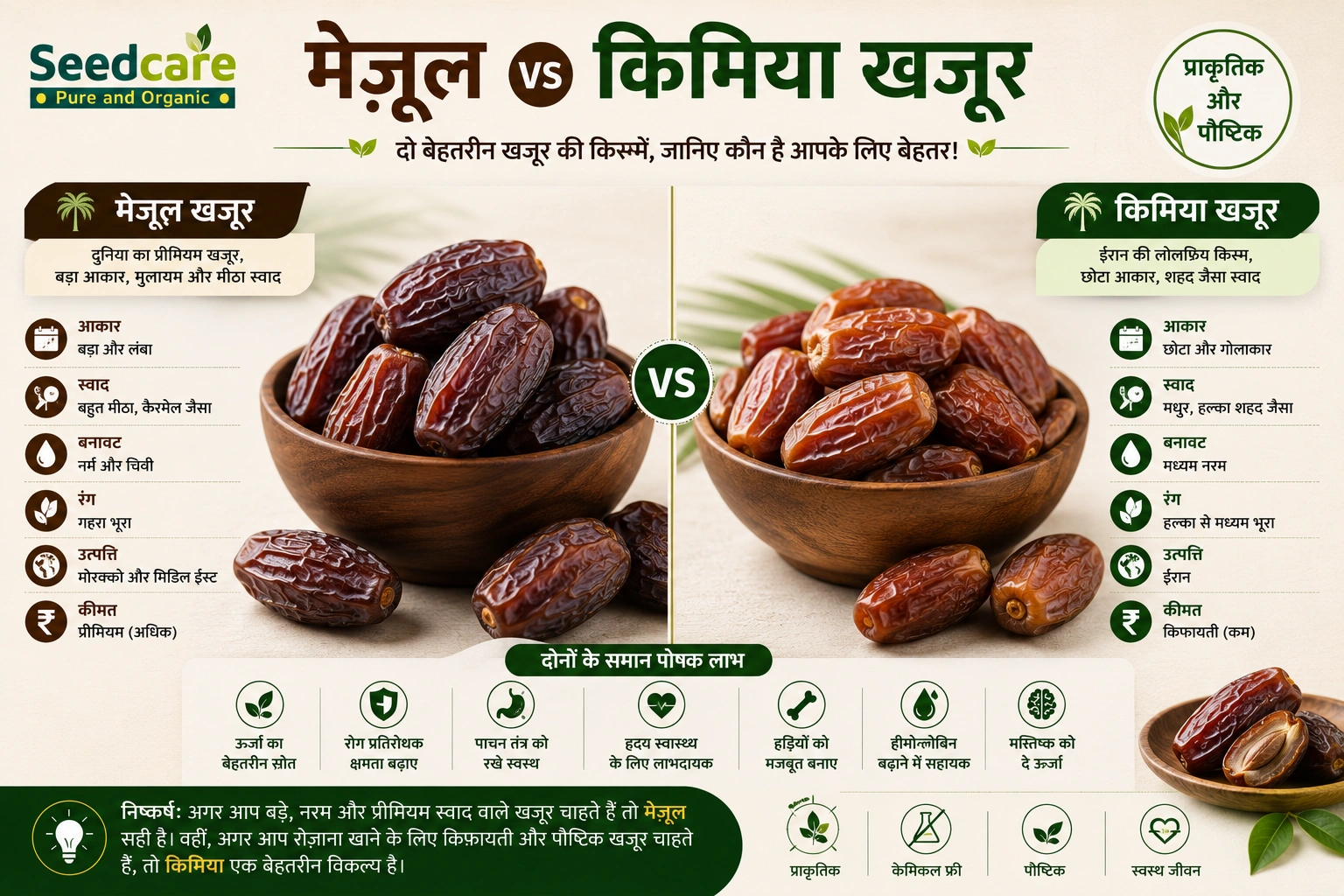 Medjool vs Kimia dates comparison guide India which to buy — Seedcare