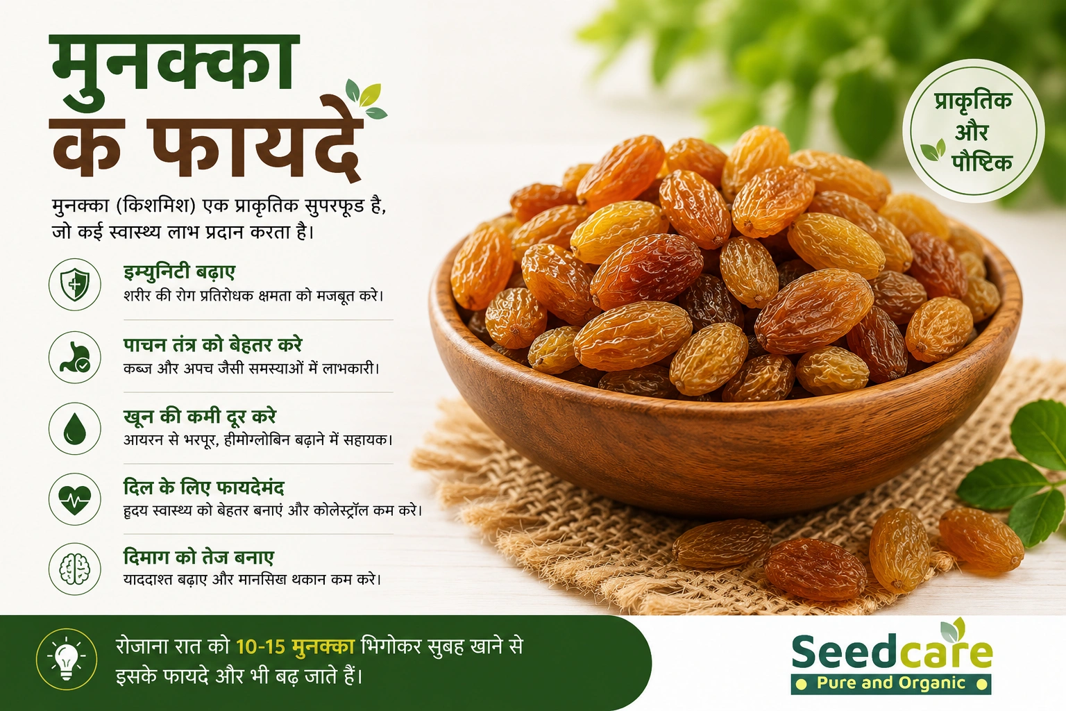 Makhana Benefits: The Complete Evidence Guide for India (Fox Nuts) — 12 Proven Benefits