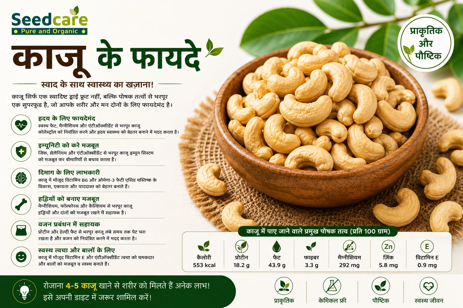 Cashews kaju benefits India W240 complete evidence guide 12 proven benefits — Seedcare