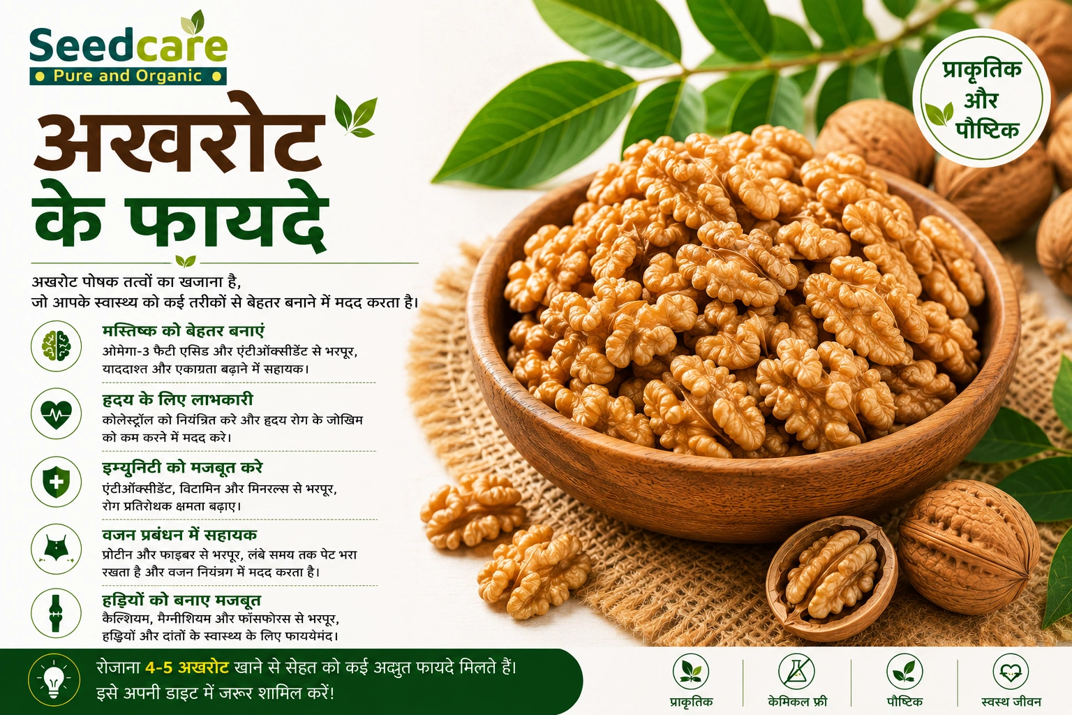 Walnuts Benefits: The Complete Evidence Guide for India (Akhrot) — 12 Proven Benefits